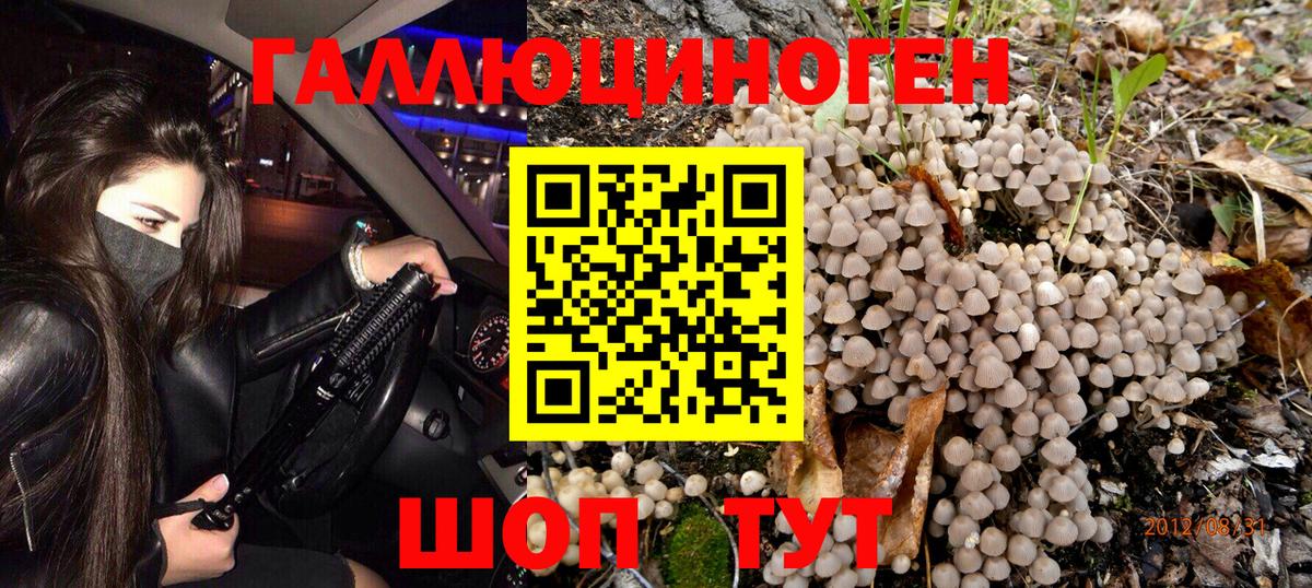Галлюциногенные грибы Psilocybe  Псилоцибиновые грибы Magic Shrooms  Вход с VPN  Калач-на-Дону 